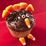 Thanksgiving and the Shopping Craze