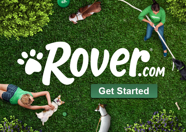 Get started with Rover